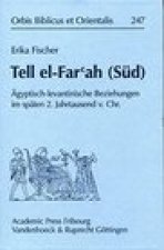 Tell el-Far'ah (Sud): Agyptisch-levantinische Beziehungen im spaten 2. Jahrtausend v.Chr.