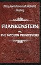 Frankenstein; Or, The Modern Prometheus. By Mary Wollstonecraft (Godwin) Shelley