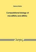 Computational biology of microRNAs and siRNAs