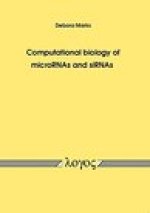 Computational biology of microRNAs and siRNAs