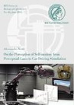 On the Perception of Self-motion: from Perceptual Laws to Car Driving Simulation