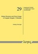 Stokes Structure and Direct Image of Irregular Singular D-Modules