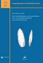 Die Fruhneolithischen und urukzeitlichen Silex- und Obsidianindustrien aus Tell Sheikh Hassan: Tell Sheikh Hassan - V.1