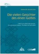 Die Vielen Gesichter Des Einen Gottes: Christlich-Judischer Dialog: Eine Anfrage An Exegese Theologie Und Spiritualitat