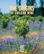 The Origins of Chilean Wine