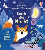 Mein erstes Entdecker-Klappenbuch: Durch die Nacht