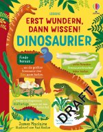 Erst wundern, dann wissen! Dinosaurier