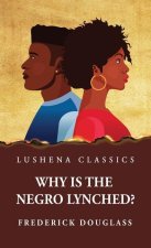 Why Is the Negro Lynched?