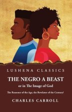The Negro a Beast, or in the Image of God