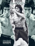 Bruce Lee ETD Scrapbook sequences Vol 8