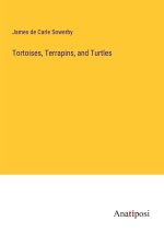 Tortoises, Terrapins, and Turtles