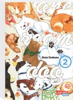 One Room Dog 2
