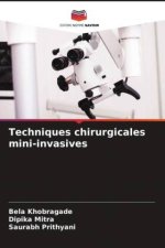 Techniques chirurgicales mini-invasives