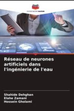 Réseau de neurones artificiels dans l'ingénierie de l'eau