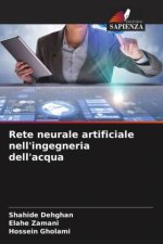 Rete neurale artificiale nell'ingegneria dell'acqua