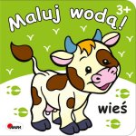 Maluj wodą. Wieś