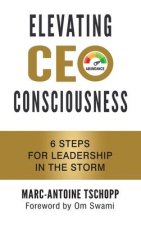 Elevating Ceo Consciousness: 6 Steps for Leadership in the Storm