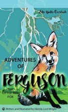 Adventures of Ferguson, the Little Read Fox: Lake Butte Overlook