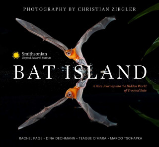 Bat Island: A Rare Journey Into the Hidden World of Tropical Bats