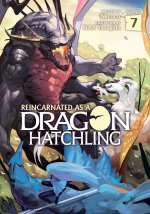 REINCARNATED AS A DRAGON {LN} V07