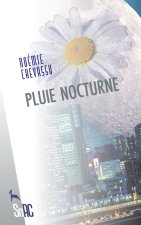Pluie nocturne