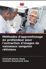 Méthodes d'apprentissage en profondeur pour l'extraction d'images de vaisseaux sanguins rétiniens