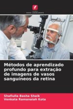 Métodos de aprendizado profundo para extraç?o de imagens de vasos sanguíneos da retina