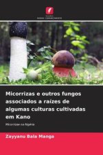 Micorrizas e outros fungos associados a raízes de algumas culturas cultivadas em Kano