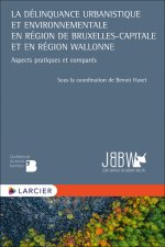 La délinquance urbanistique et environnentale en Région de Bruxelles-Capitale et en Région wallonne