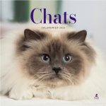 CALENDRIER CHATS 2024