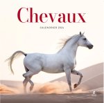 CALENDRIER CHEVAUX 2024