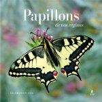 CALENDRIER PAPILLONS DE NOS RÉGIONS 2024