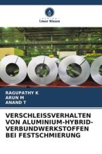 VERSCHLEISSVERHALTEN VON ALUMINIUM-HYBRID-VERBUNDWERKSTOFFEN BEI FESTSCHMIERUNG