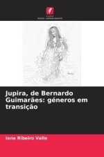 Jupira, de Bernardo Guimarães: géneros em transição