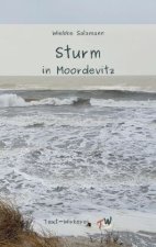 Sturm in Moordevitz