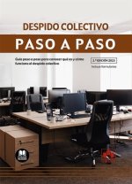DESPIDO COLECTIVO PASO A PASO