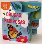 ORUGAS Y MARIPOSAS
