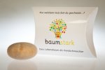 Handschmeichler Olivenbaum 45mm mit Baumhoroskop