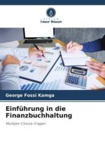 Einführung in die Finanzbuchhaltung