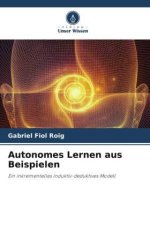 Autonomes Lernen aus Beispielen