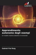 Apprendimento autonomo dagli esempi