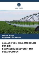 ANALYSE VON SOLARMODULEN FÜR EIN BEWÄSSERUNGSSYSTEM MIT SOLARPUMPEN