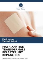 MATRIXARTIGE TRANSDERMALE PFLASTER MIT REPAGLINID