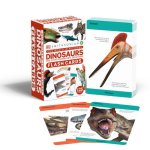 OUR WORLD IN PICTURES DINOSAUR FLASH CAR