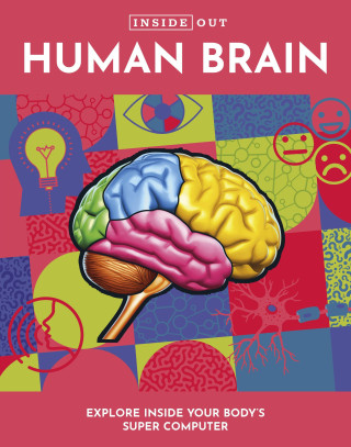 Inside Out Human Brain