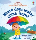Lift-the-flap First Questions And Answers