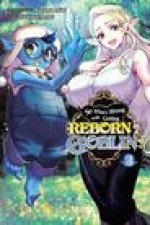 SO WHATS WRONG WITH GETTING REBORN V03