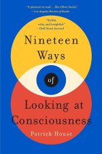 Nineteen Ways of Looking at Consciousness