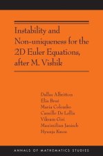 Instability and Nonuniqueness for the 2d Euler Equations, after M.Vishik (AMS–219)
