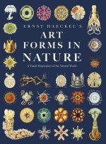 Ernst Haeckel's Art Forms in Nature: A Visual Masterpiece of the Natural World